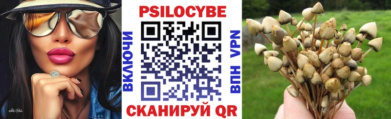 Купить  Борисоглебск  Галлюциногенные грибы прущие грибы 